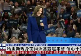 布鲁克林篮网历年战绩一览表