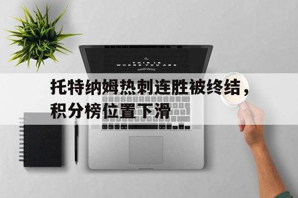 IM电竞最新下载-托特纳姆热刺vs